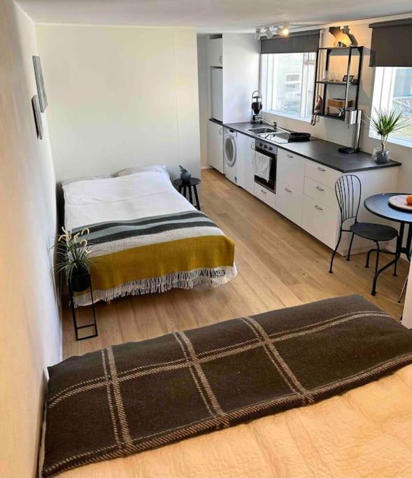 Studio Apartment Reykjavik City Center מראה חיצוני תמונה