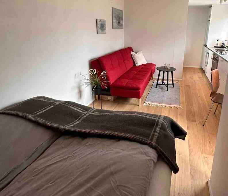 Studio Apartment Reykjavik City Center מראה חיצוני תמונה