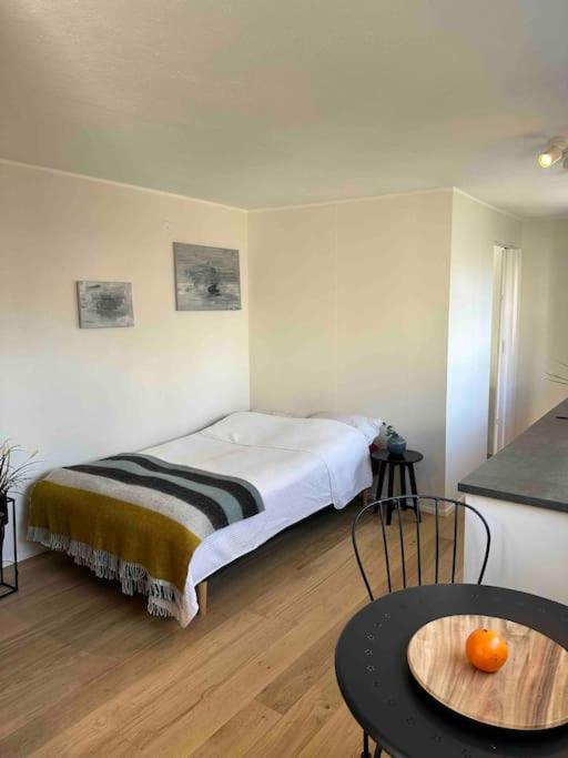 Studio Apartment Reykjavik City Center מראה חיצוני תמונה
